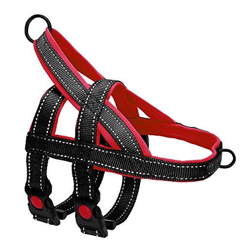 Beirui No Pull Escape Proof Dog Harness for Small Medium Large Dogs - Soft Padded Reflective Medium Dog Walking Harnesses (Black,M)