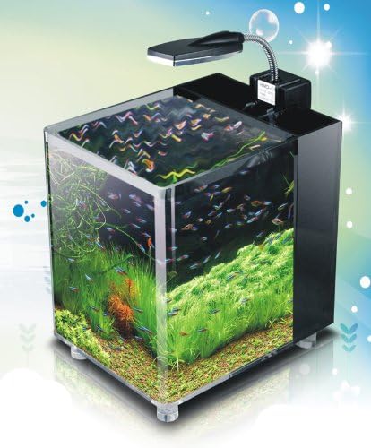 nano cube fish tank