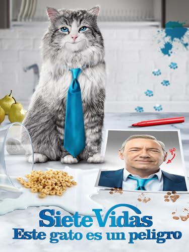 Sietes vidas, este gato es un peligro
