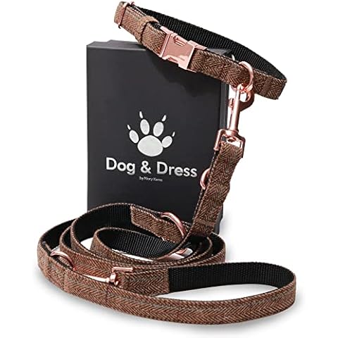 Set Correa y Collar de Perro de Dog & Dress by Nacy Kena Cover