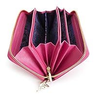 ANNA SUI アナスイ　長財布　ピンクレッド ANNA SUI アナスイ 長財布 317980 ローズハート ピンク(- 【32