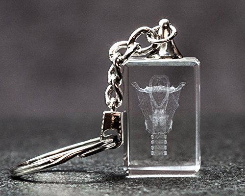 Blue Tree Publishing Larynx 3d Laser Crystal Key Chain, Anatomy, Voice Box, Singing, Adam's Apple