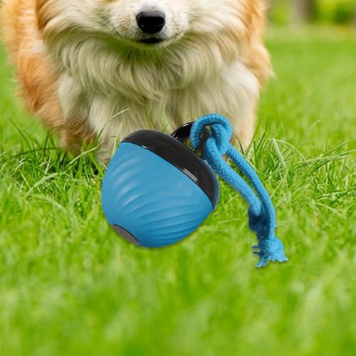 Jouet pour chien intelligent balle interactive pour l'occupation au salon
