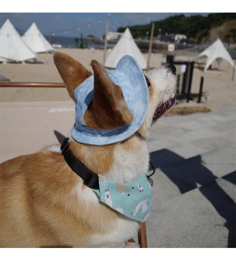Image of HDKUW Dog Bucket Hats, Dog Round Cap with Ear Hole, Adjustable Outdoor Travel Sun Protection Sport Hat for Cat Small Medium Dogs Light Blue M