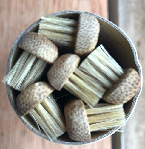 Gaia Guy Natural Bristle Bamboo Toothbrush (No Nylon - Boar Hair Only) - Totally Compostable & Biodegradable Boar Bristle And Bamboo Toothbrushes - Zero Waste - 6-Pack #TOP6