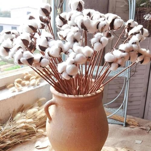 Ramas naturales secas de 37.5 cm para decoración 5 piezas miniatura 2
