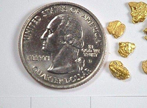 Alaskan Yukon BC Gold Rush Nuggets #6 Mesh 1 Gram of Fines