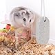 Toyvian 2 Stück Haustier Zähne Schleifstein Mineral 9x4.5cm Molaren Stein für Kaninchen Eichhörnchen Hamster und andere kleine Haustiere