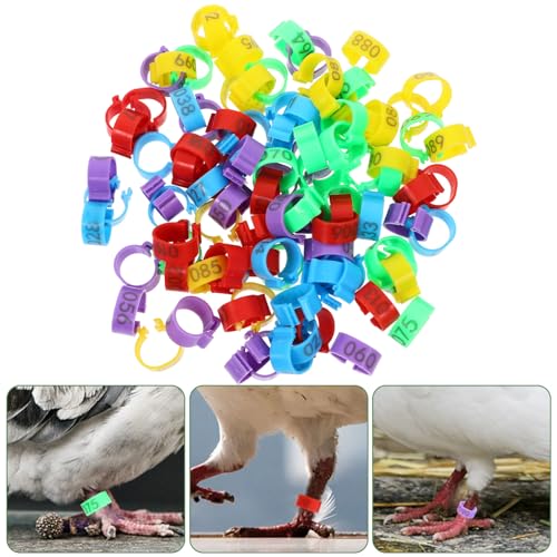 POPETPOP 100 Peças Anéis De Perna De Pombos De Pássaros - 16Mm Coloridos Legíveis E Numerados De Ide