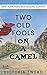 Two Old Fools on a Camel: From Spain to Bahrain and back again