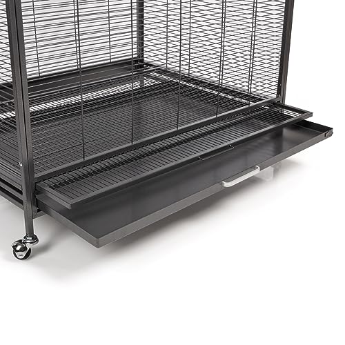Montana Cages | Premium Voliere New Sydney I Vogelkäfig für Sittiche und kleine Papageien, inkl. 2 Näpfe, 4 Lenkrollen, AVILON Pulverbeschichtung, Antik Edition, ca. 90 x 70 x 180cm