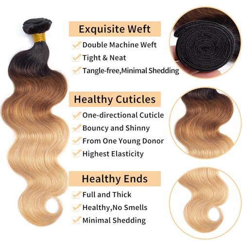 Image of 16A Ombre Body Wave Bundles Human Hair (T1B /30 /27,22 inch 22 inch 22 inch) 100% Real Human Hair 3X Longer Lifespan 100% Unprocessed Brazilian Virgin Hair Ombre Brown Body Wave Human Hair Weave Bundles