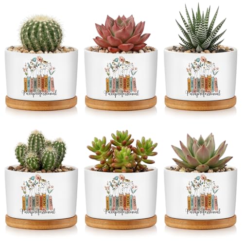 Havawish 6 Pcs Paraprofessional Appreciation Gifts para Teacher Appreciation Gifts Ceramic Succulent Planter Pots Mini Porcelain Plant Containers for Nurse Birthday Graduation Plants Excluded