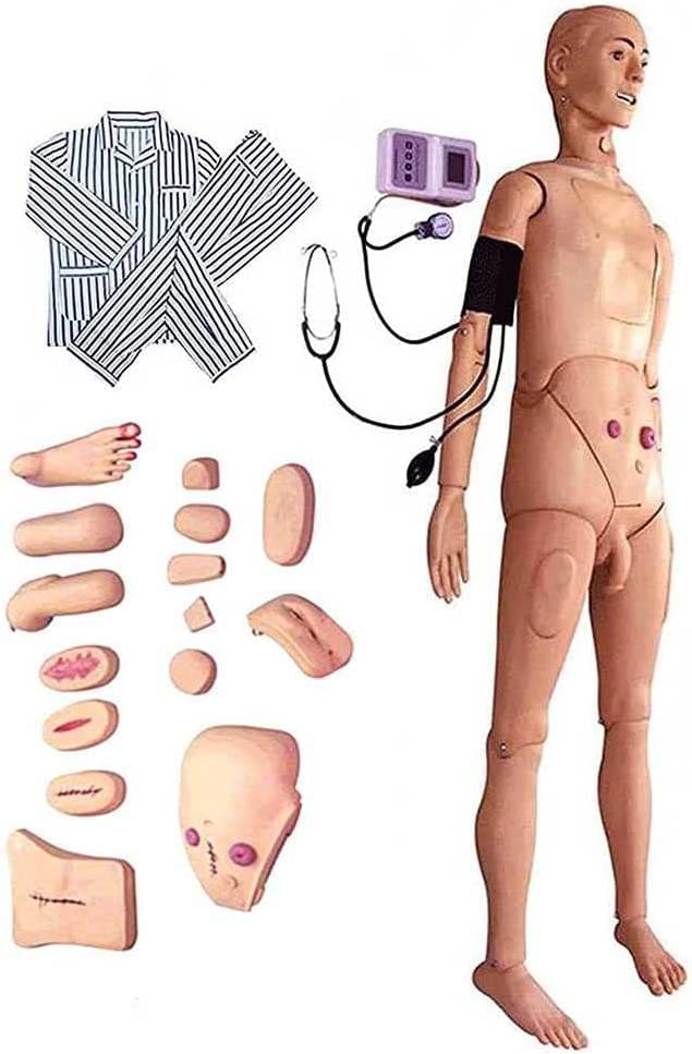 Maniquí para el cuidado del paciente, simulador de entrenamiento de trauma de primeros auxilios, modelo anatómico para uso educativo