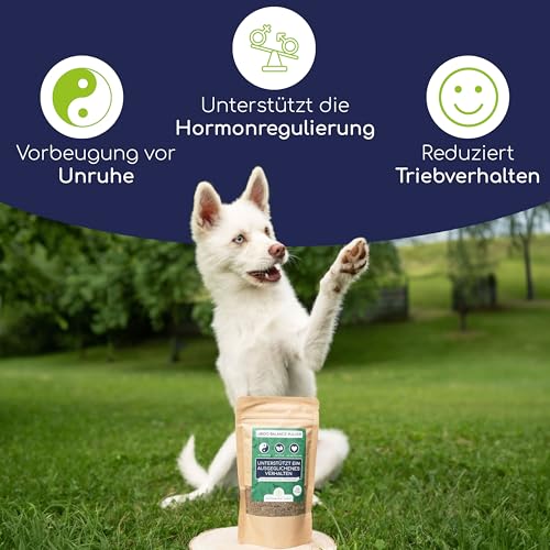Wolfsbacher Libido Balance Pulver – Mönchspfeffer für Rüden, Natürliche Hormonregulierung, Verhaltensoptimierung, 100g