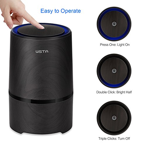Wsta Desktop Small Air Purifiers With Hepa Filter #TOP2