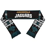 NFL Light Up Scarf