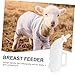 ifundom Foal Milk Bottle for Small Livestock Farm Animal Feeding Bottle Nursing Kit Lightweight and Easy to Carry