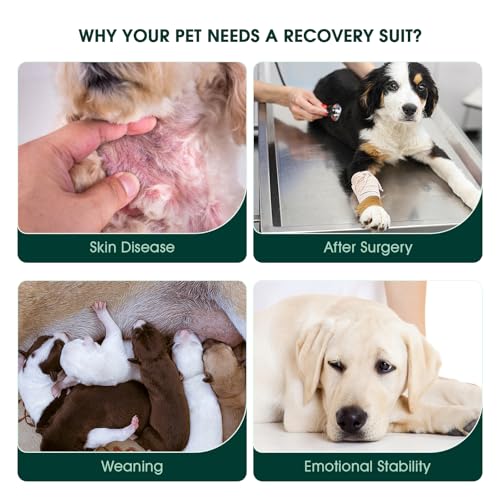 Kuoser Recovery Suit for Dogs, Adjustable Female Spay Dog Surgery Suit, Pet Surgical Shirt Male Neuter Anti Licking Abdominal Wounds Puppy Onesie Bodysuit, Alternative to Doggie Cone After Surgery