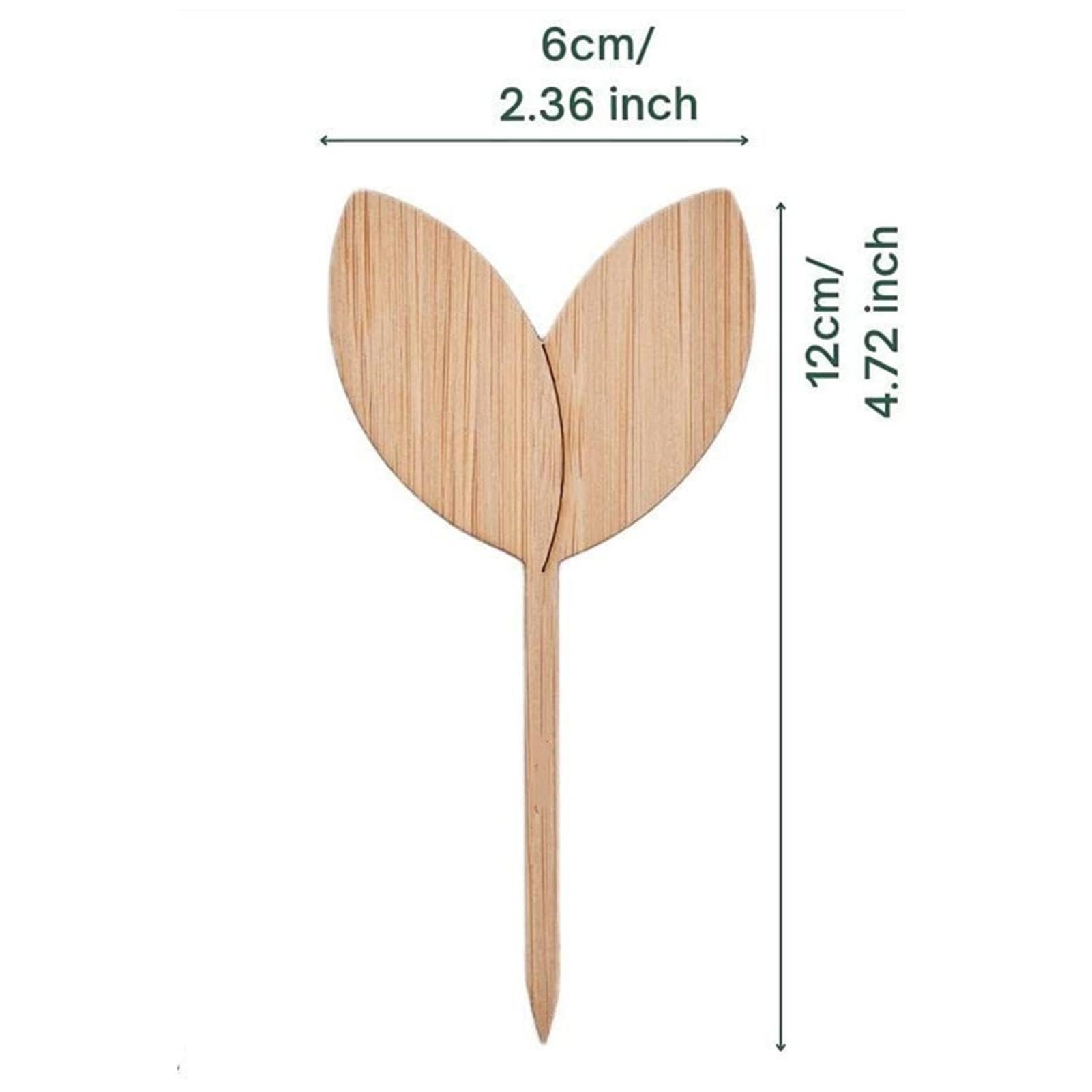 Set 5 Frecce E 10 Etichette In Legno | Per Giardino, Decorazione Casa E Fai-da-Te | Naturale