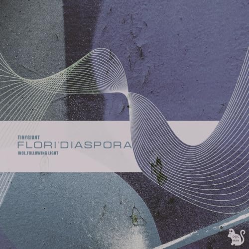  Flori\'diaspora (Original Mix)