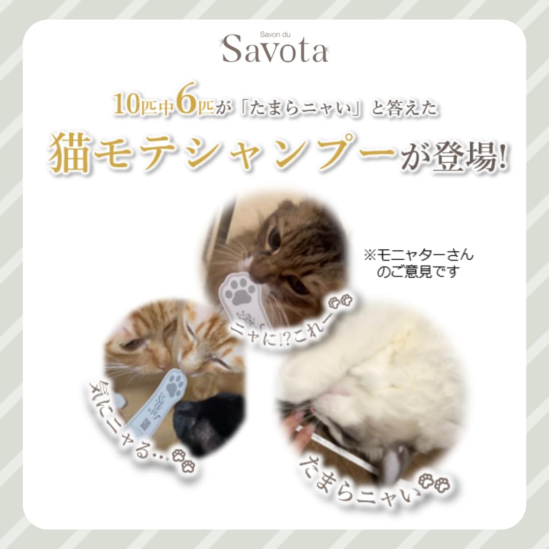 Amazon.co.jp: 【限定品】】サボンドニャボタ モイストプランプペア