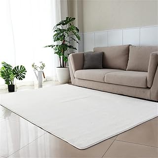 居間 カーペット 60ｘ90cm ラグ 洗える部屋ラグマット絨毯 北欧 滑り止め付 防ダニ 抗菌 防臭 1年中使えるタイプ 床暖房 ホットカーペット対応 ふわっと手触り 暖かいじゅうたんソファサイド の窓の敷居ベッドサイドマット A5