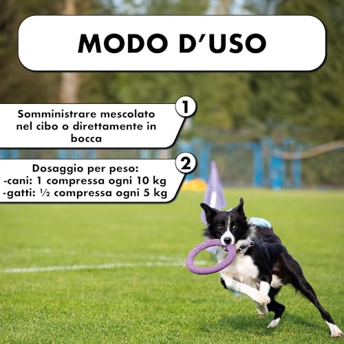 Vitease 60 Compresse - 4