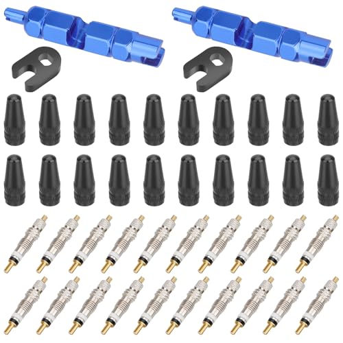 Image of Linkstyle 44PCS Presta Valve Core Cap Kit with Removal Repair Tool, Tire Valve Stem Core Quickly Replacement Tool Kit