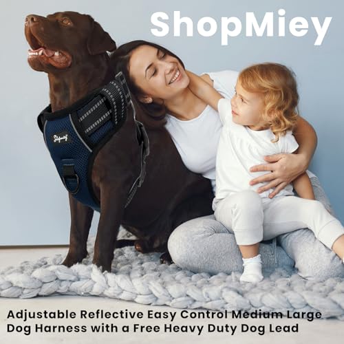 ShopMiey Dog Harness No Pull Pet Harness with 2 Leash Clips, Adjustable Soft Padded Pet Vest - Image 4