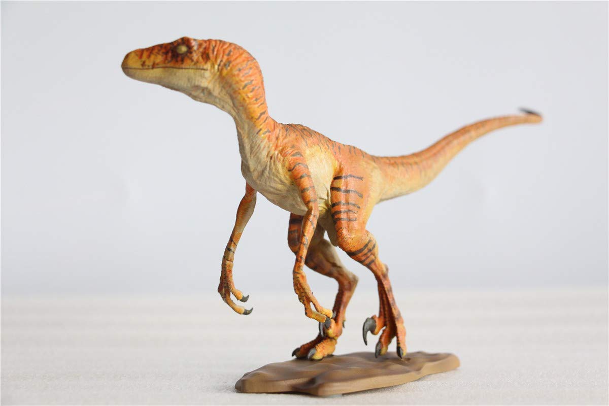 Amazon | DINO DREAM 1/15 サイズ ヴェロキラプトル 恐竜 小型 肉食