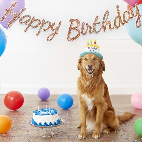 Image of Rozi Decoration Rose Gold Glitter Happy Birthday Banner -Cursive Letter Garland for Party Decoration, Reusable Shiny Cardstock Hanging Banner for Girls, Women, Adults, Kids (Pack of 1 Set)