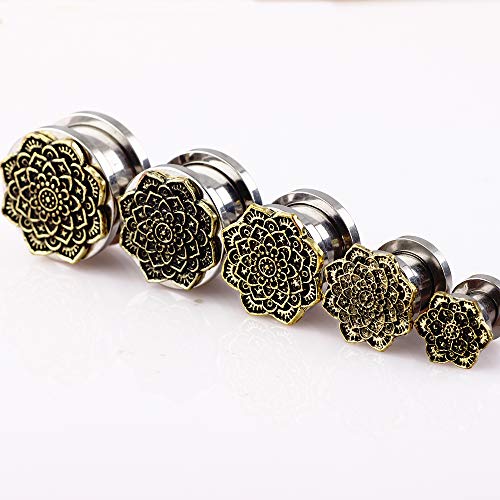Women Ear Tunnels Stainless Steel Glass Stone Acrylic Ear Gauges Plugs Piercing Earrings Stretcher Set 8 Pairs