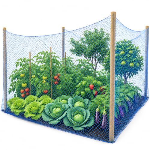 Image of 12 Ply Plant Netting 50 mm Mesh - Heavy Duty Garden Support Net, UV Resistant Trellis Net for Vegetables, Climbing Plants & Creepers (Blue, 10 X 50 FT)