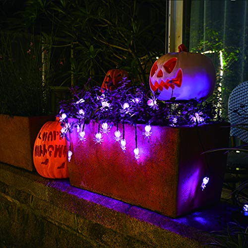 Qunlight Halloween Solar String Lights, 2Pack 30 LED 20ft Purple Spider String Lights with 8 MODES Waterproof Fairy Lights for Halloween Party Decor, Halloween Lighting, House, Garden, Yard Decoration