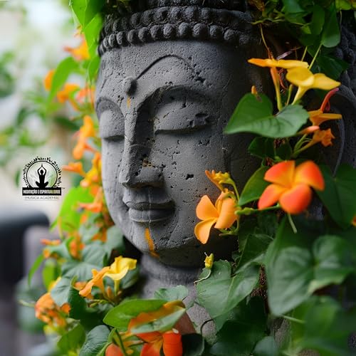 Círculo da Calmaria