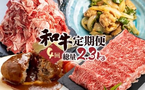 「和牛定期便」定期便 4回 お楽しみ 牛肉 切落し 切り落とし ホルモン もつ 焼肉 ハンバーグ レトルト しゃぶしゃぶ 個包装 国産和牛 総重量2.3kg 定期便 肉