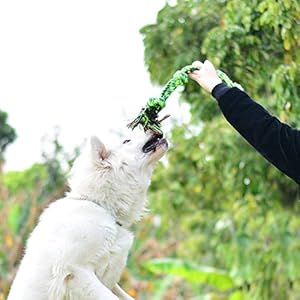 Vitscan-Upgraded-Nylon-Goose-Indestructible-Dog-Toys-for-Aggressive-ChewersTough-Dog-Toys-for-Large-Dogs-Medium-BreedDurable-Dog-Chew-Toys-for-TeethingHeavy-Duty-Big-Dog-Toys-Green-5-knot-rope - Cucciolini Doodles   Vitscan-Upgraded-Nylon-Goose-Indestructible-Dog-Toys-for-Aggressive-ChewersTough-Dog-Toys-for-Large-Dogs-Medium-BreedDurable-Dog-Chew-Toys-for-TeethingHeavy-Duty-Big-Dog-Toys-Green-5-knot-rope