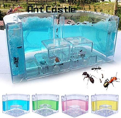 FCPLLTR Miernesten, 3D-mierenboerderij Met Doorzichtige Gellabyvrije Kijkgedeelte, Mierenboerderijen Habitat Voor… - Image 5