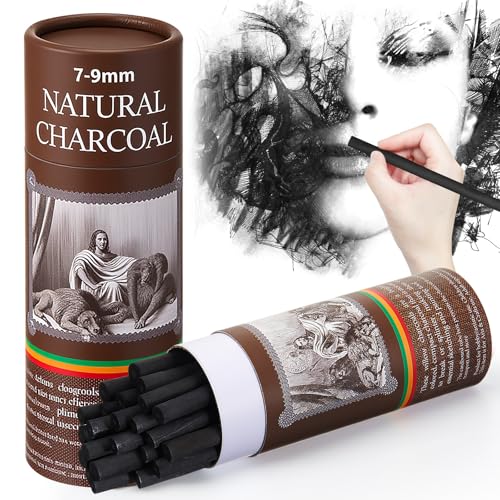Gueevin 25 Pcs Willow Charcoal Sticks for Artists