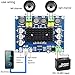 Clyxgs TPA3116D2 Dual Channel Class D Digital Power Audio Amplifier Board, DC12-26V High Power Stereo AMP Module for Car Vehicle Computer Speaker DIY Home Theater Audio System