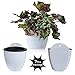 ShoppeWatch Self Watering Wall Planters for Indoor Plants 7 Pack | Hanging Planters Medium 5 Inch with Hooks | White Wall Pots for Plants | 5.0 x 5.3 inches PL34