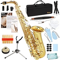 Kmise E Flat Alto Saxophone, Lightweight Saxophones for Students