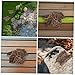 BUGUUYO 12pcs Natural Bark Decor for Reptile Terrarium Versatile Climbing Platform and Background for Lizards Material Easy to Install Approx Each