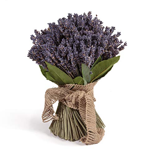 ROSEMARIE SCHULZ Heidelberg Getrockneter Lavendel aus der Provence Lavendelstrauß Lavendelbund mit ca. 600 Stiele Trockenblumen Raumduft Deko Ernte August 2022 Cover