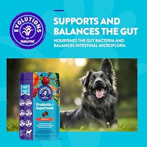 NaturVet Evolutions Probiotic & Superfoods 180ct Soft Chews for Dogs – Prebiotic & Probiotic Blend, Digestive Enzymes, Bone Broth, Omega’s – Nourishes Natural Gut Bacteria and Intestinal Microflora