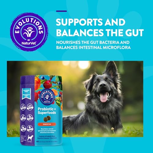 NaturVet Evolutions Probiotic & Superfoods 180ct Soft Chews for Dogs – Prebiotic & Probiotic Blend, Digestive Enzymes, Bone Broth, Omega’s – Nourishes Natural Gut Bacteria and Intestinal Microflora NaturVet Evolutions Probiotic & Superfoods 180ct Soft Chews for Dogs – Prebiotic & Probiotic Blend, Digestive Enzymes, Bone Broth, Omega’s – Nourishes Natural Gut Bacteria and Intestinal Microflora