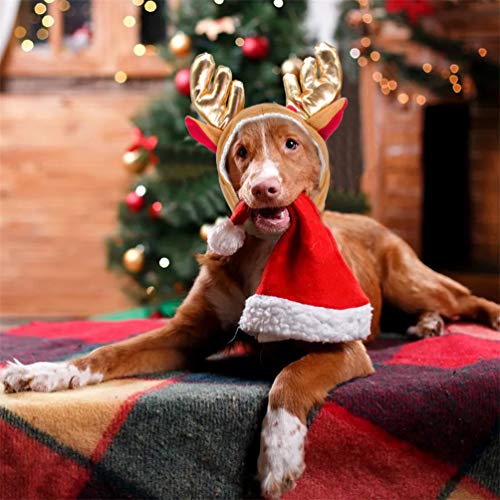 Doilnxh Christmas Pets Accessory Reindeer Hat Dogs Cat Pet Head Accessories Costume Gift For Small Large Dogs Yorkshire Terrier Pitbull Yellow Neck 26-24Cm #TOP4