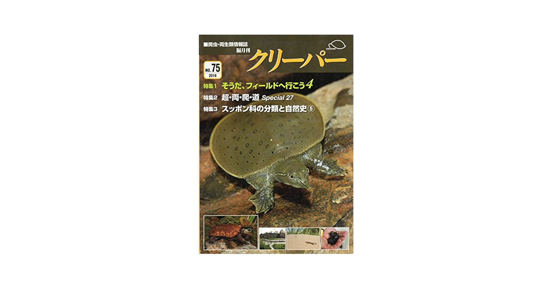 爬虫類両生類情報誌　クリーパー　創刊号 クリーパー社 クリーパーNo.99 - 爬虫類ショップ Wild Monster