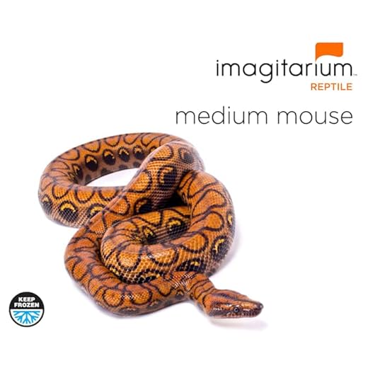 Gourmet Frozen Medium Mouse 50 Pack